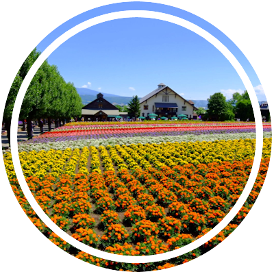 Furano and Biei, Hokkaido Marker